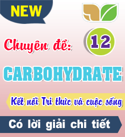 Carbohydrate (KNTT_B1)